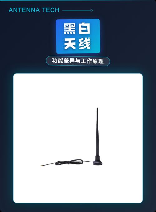 揭秘黑白天线的功能差异与工作原理